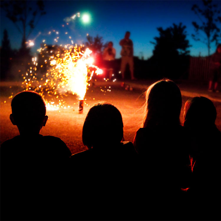 Group of people enjoying fireworks